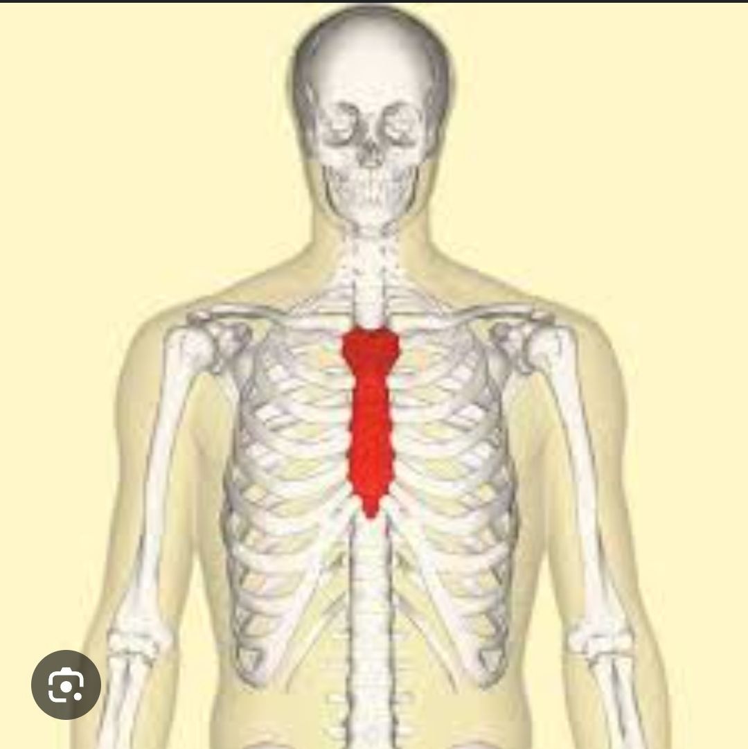 Sturnum ache