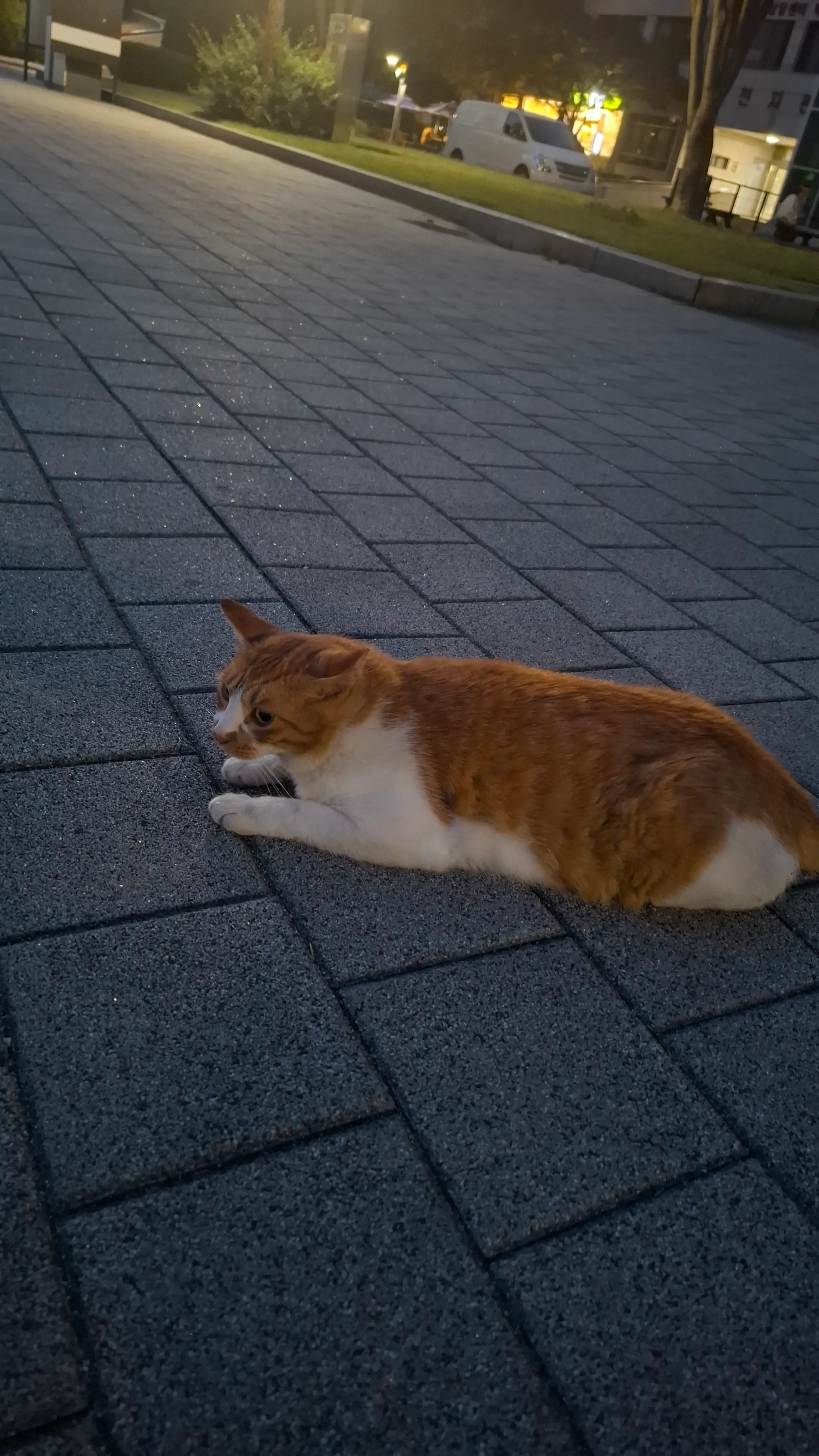 Walking