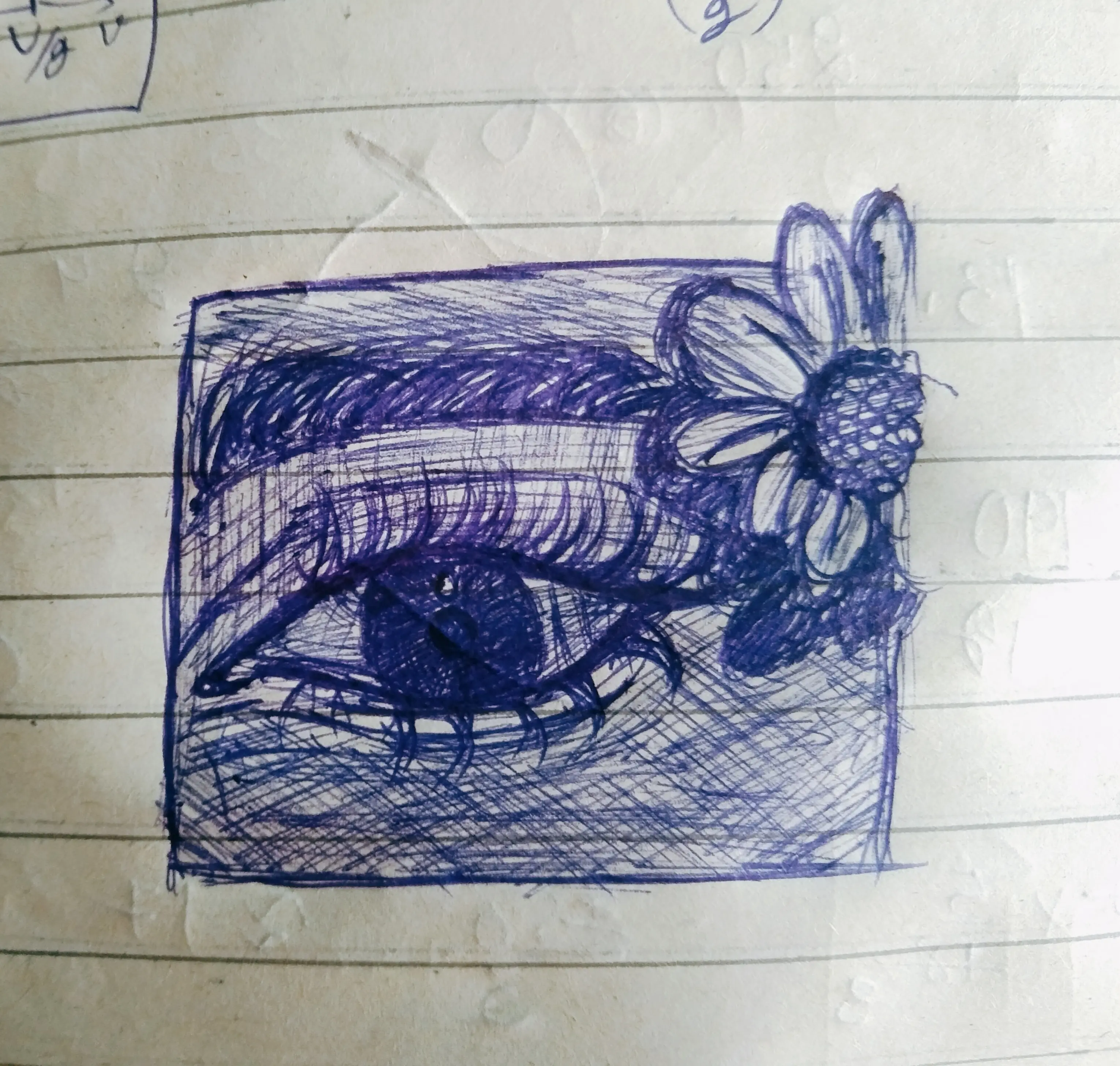 Sketching