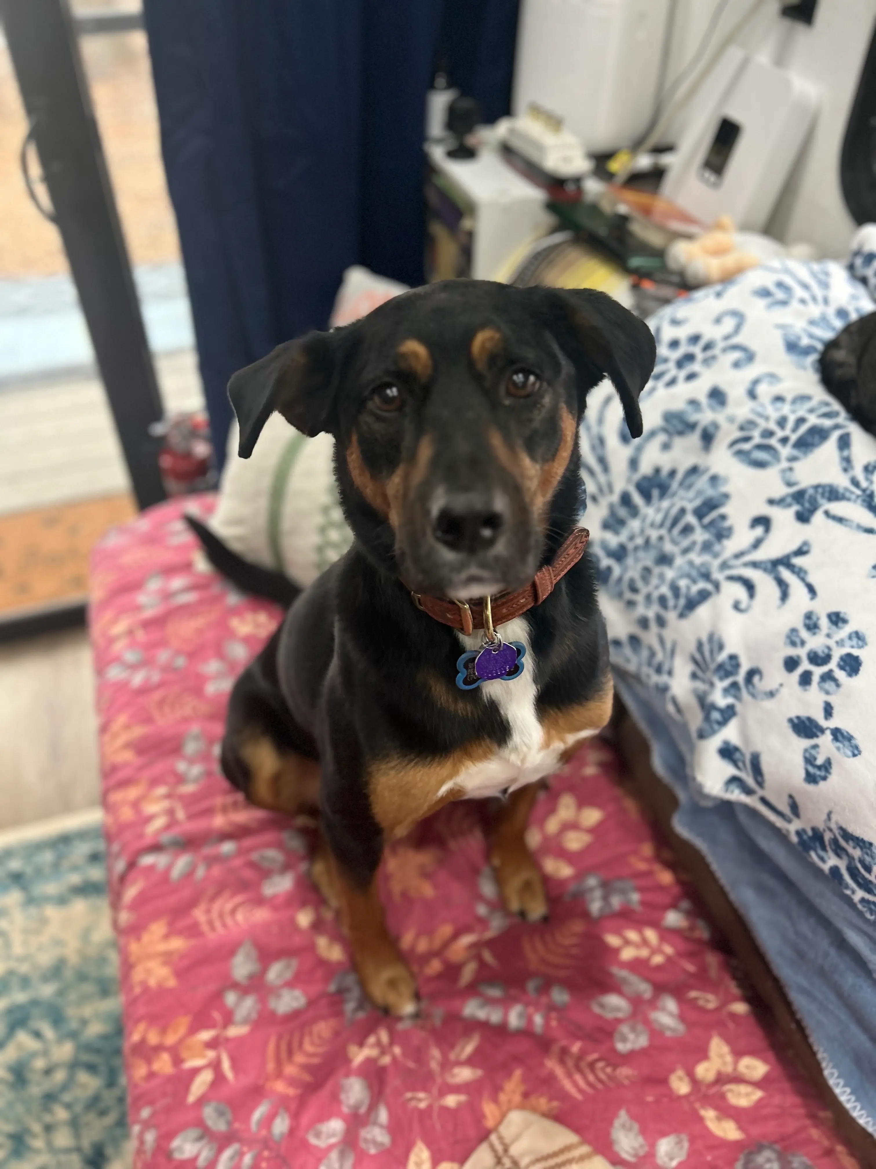 Have an awesome days