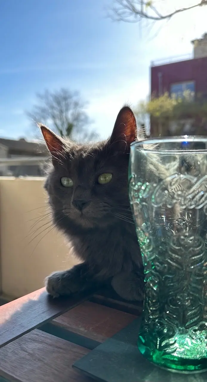 Do you have pets?