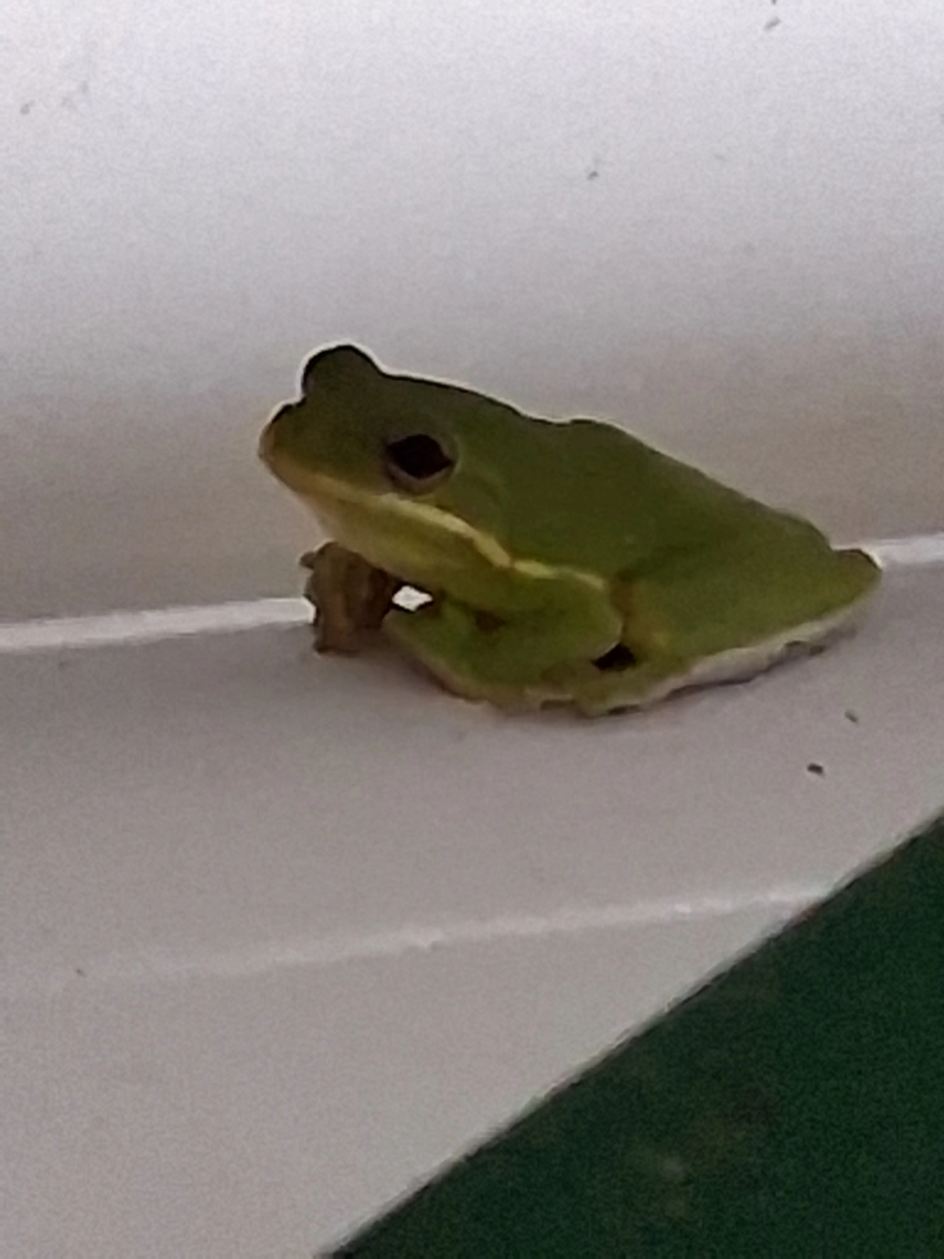 More nature photos