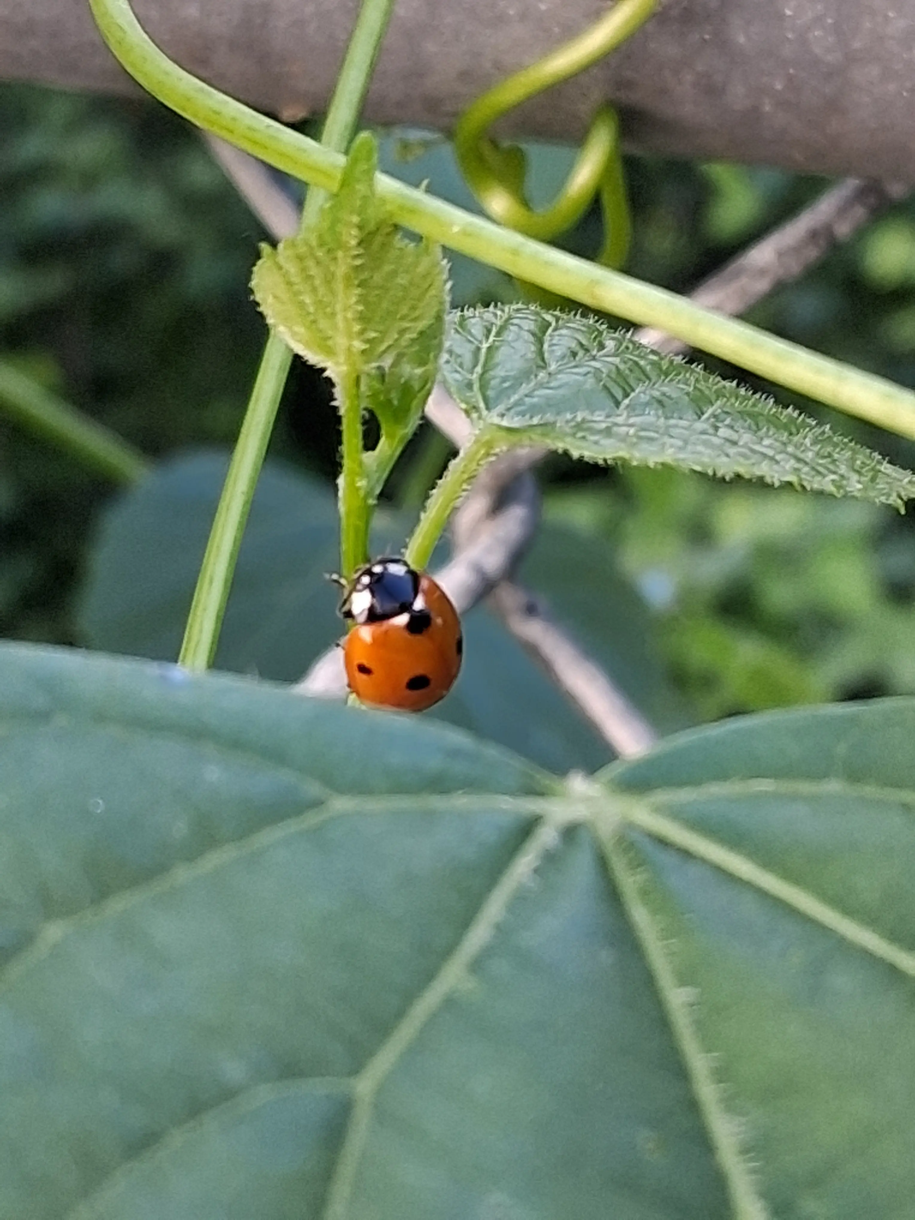 More nature photos