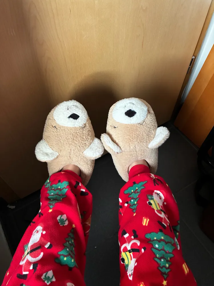 I wanna show off my slippers cuz they’re my fave and I love them 😭🤎