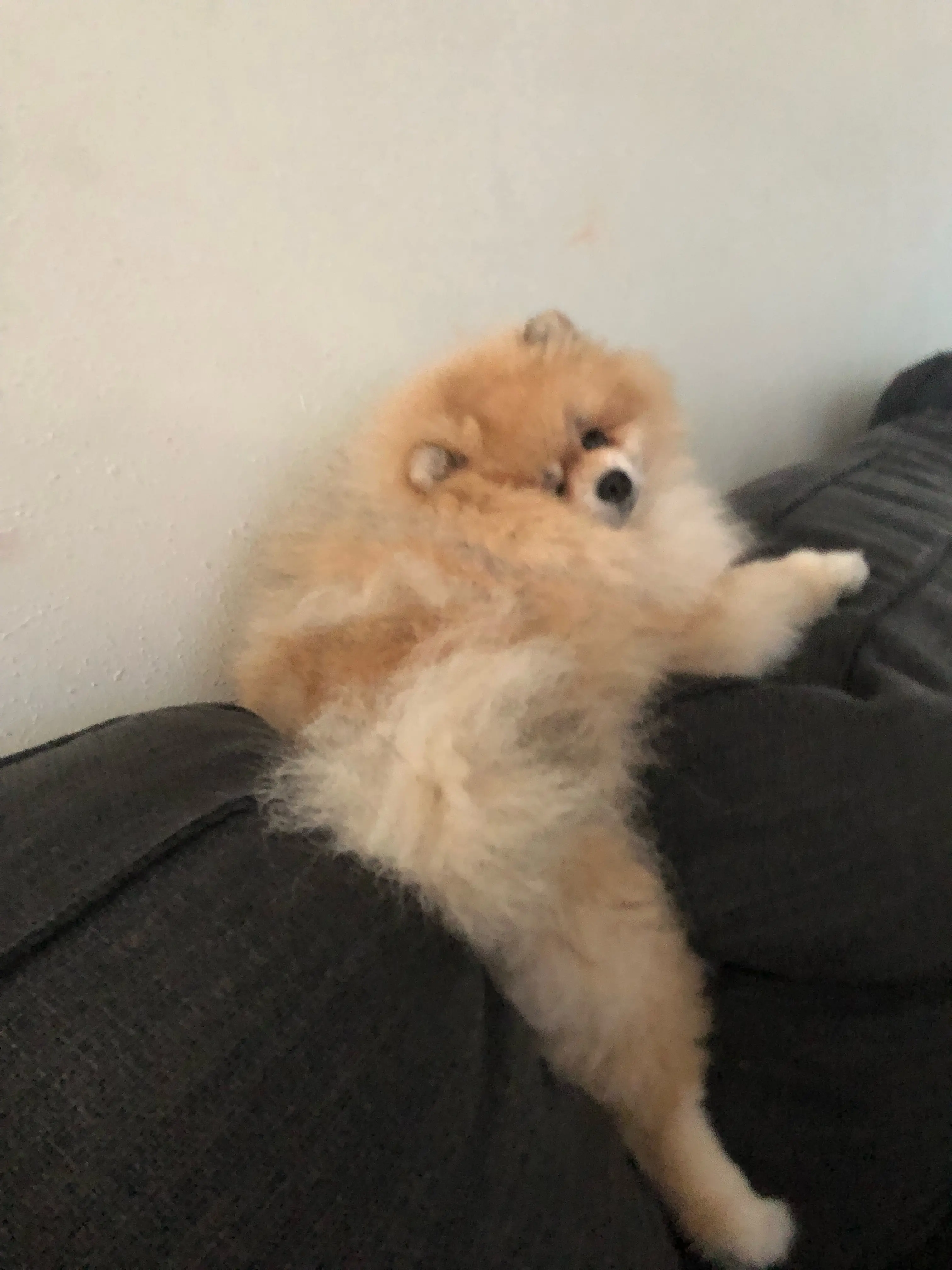 Guess his name?