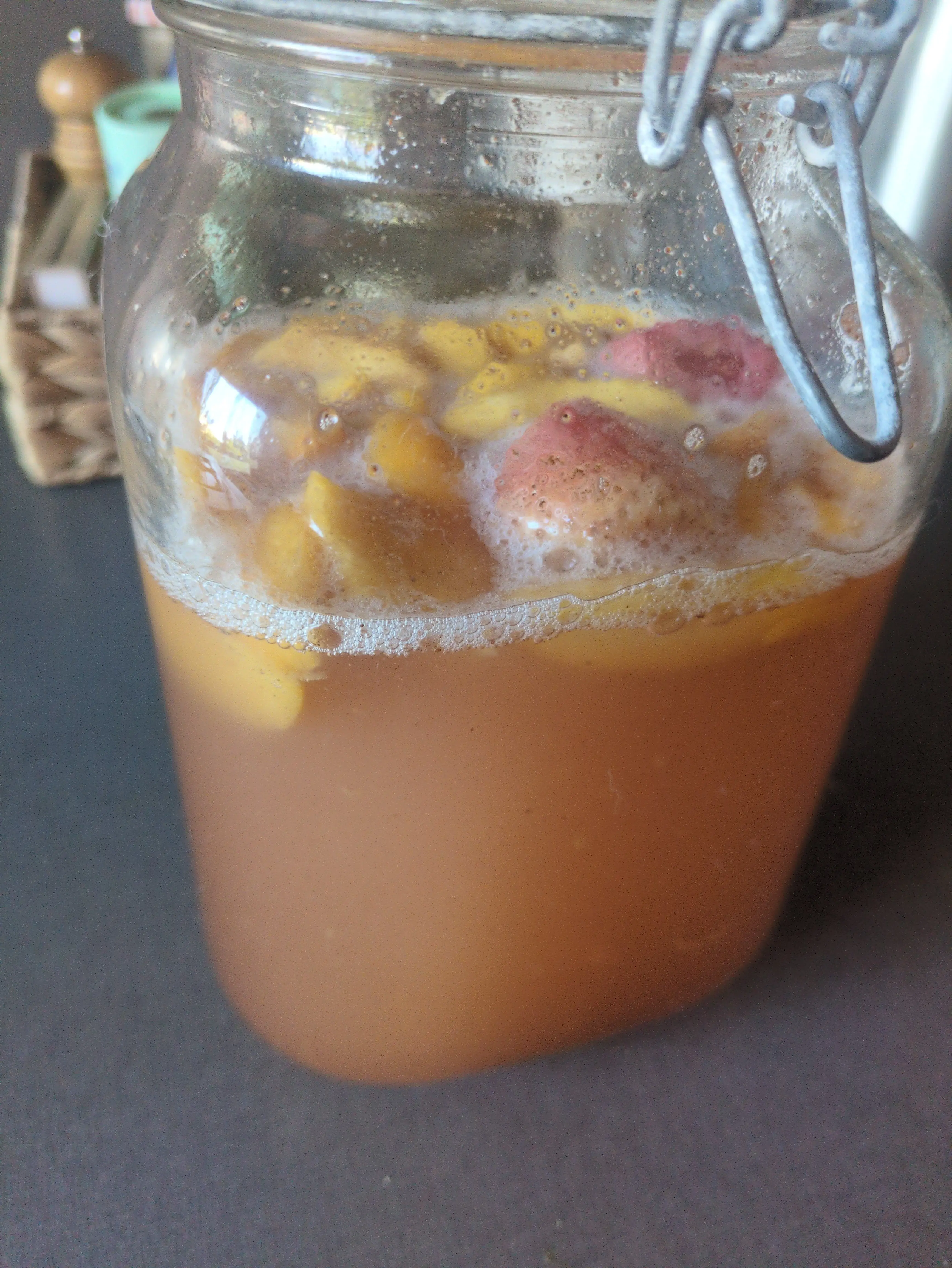 Question about kefir/kombucha