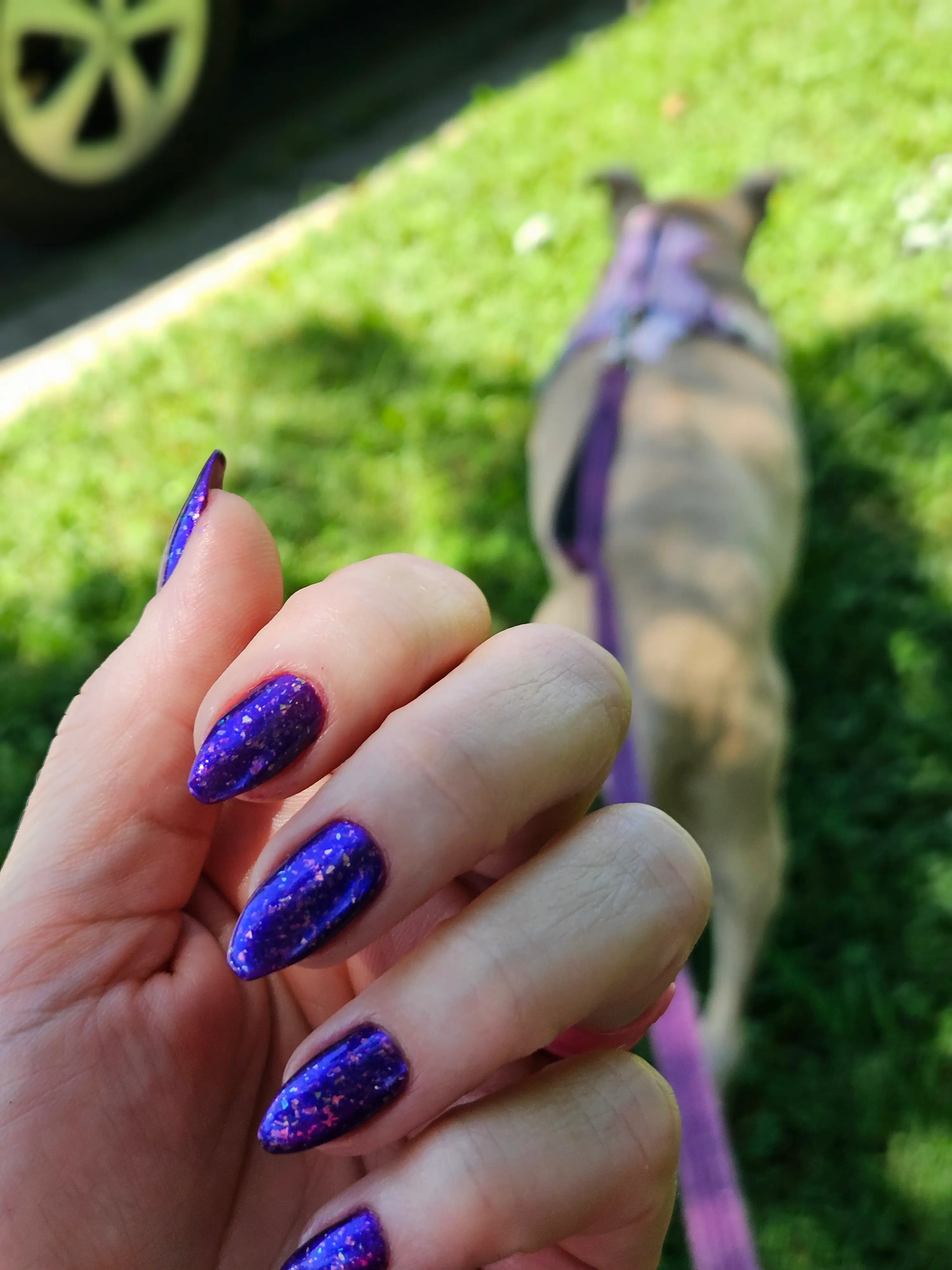 Nails 💅 💅 💅
