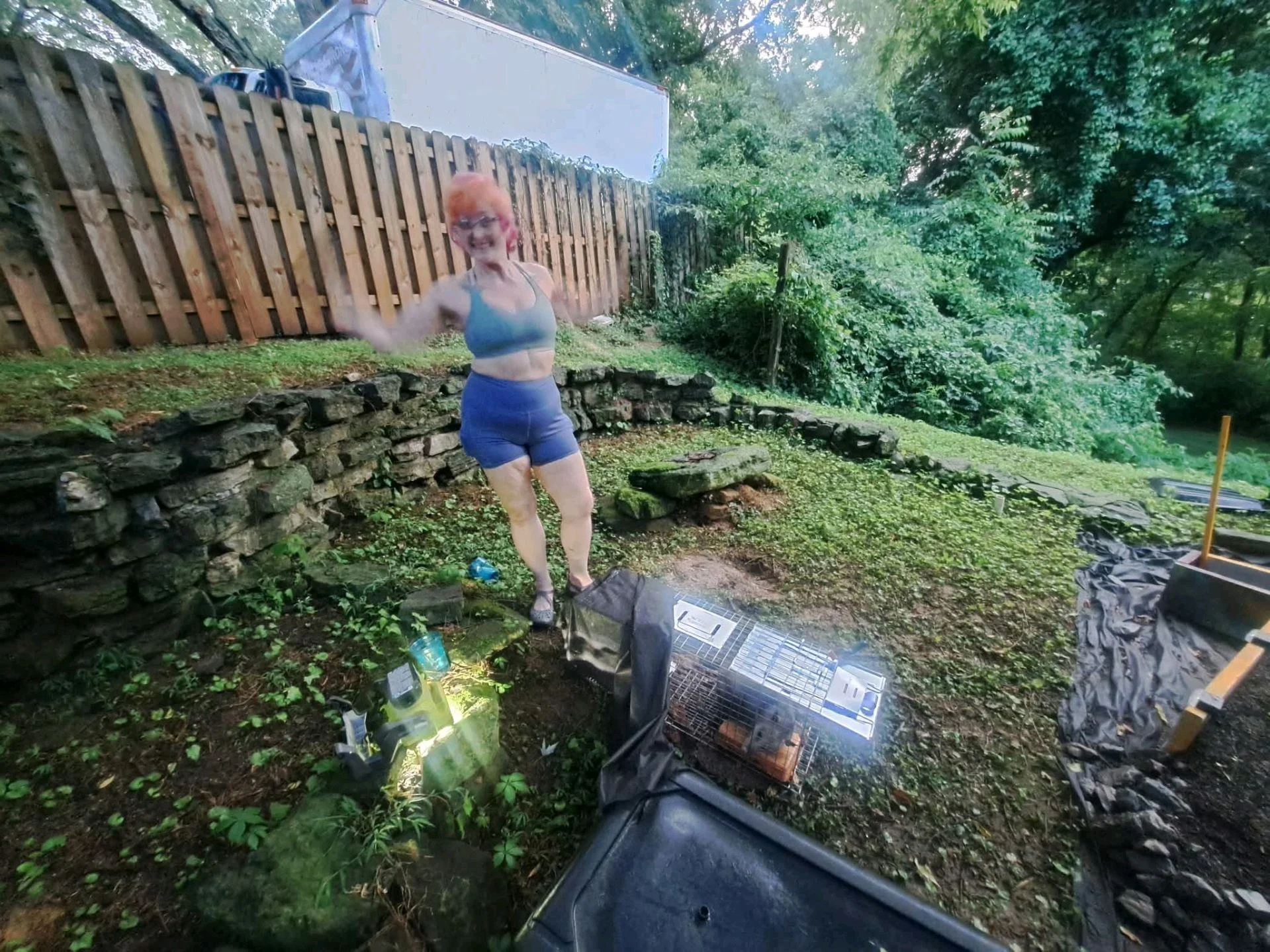 We tried to rescue a raccoon