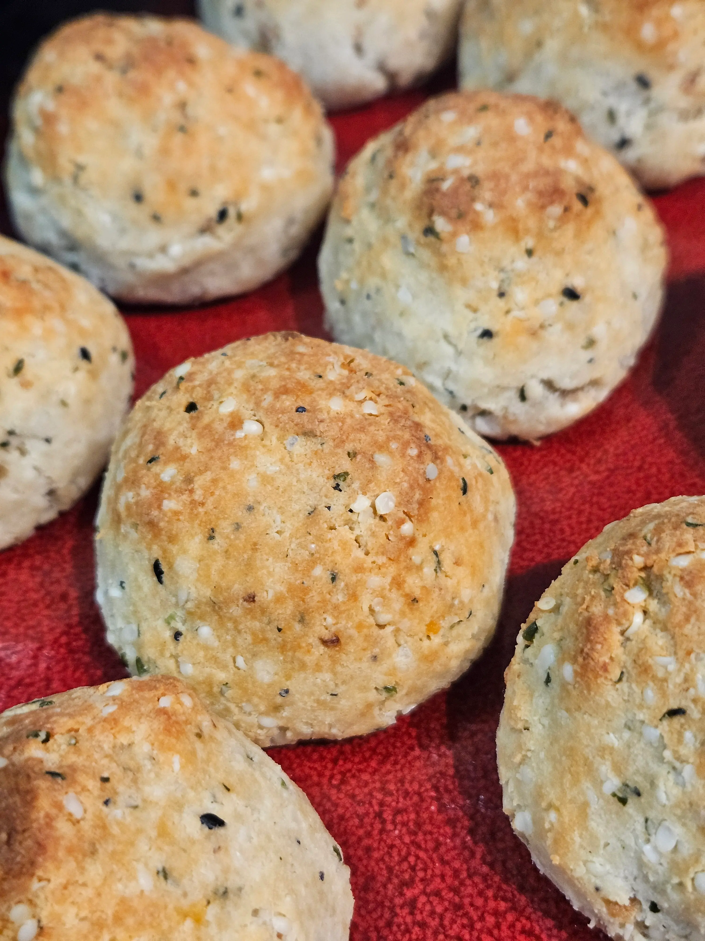 Cottage Cheese Parmesan Everything Balls