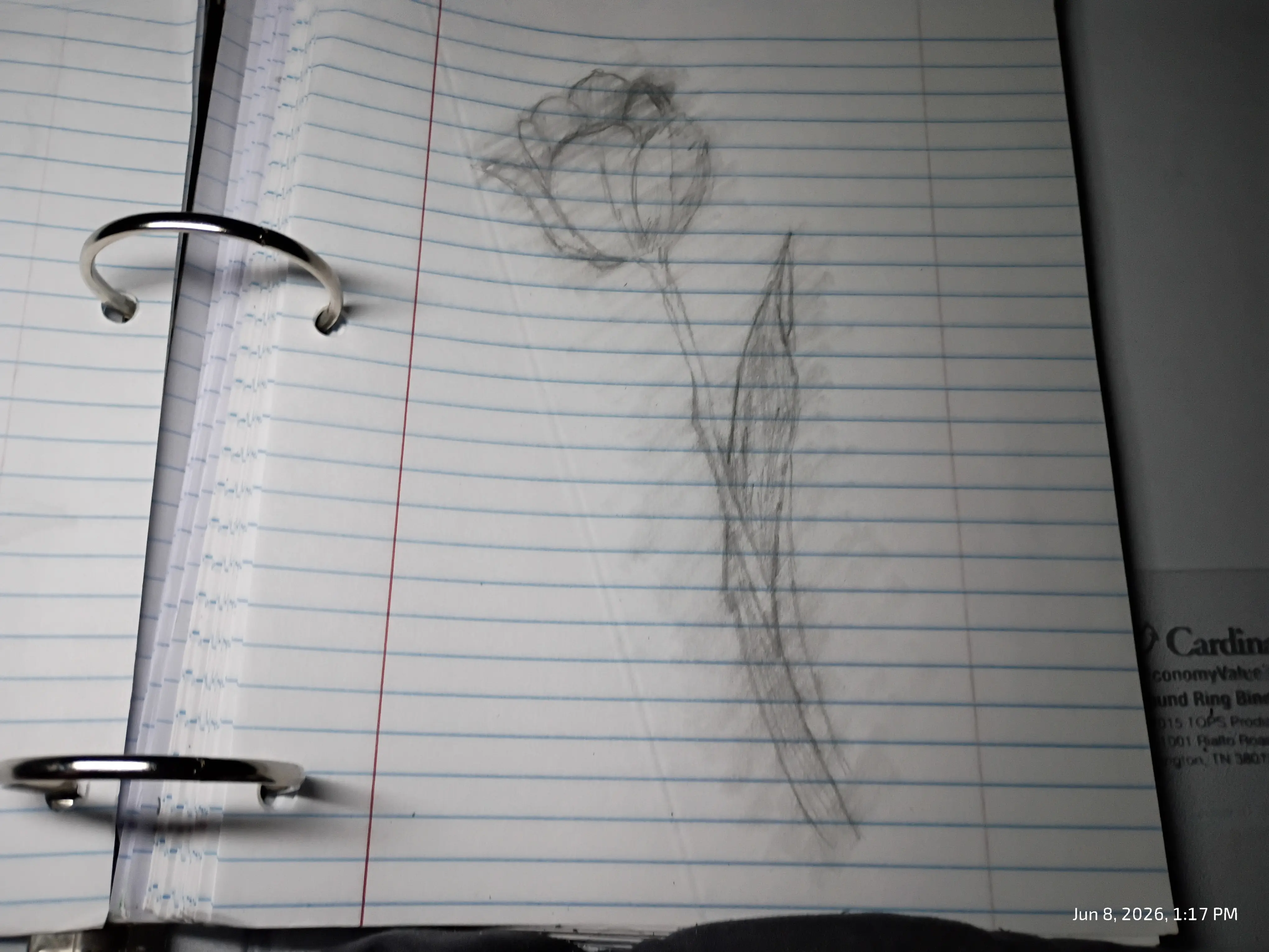 Drawing