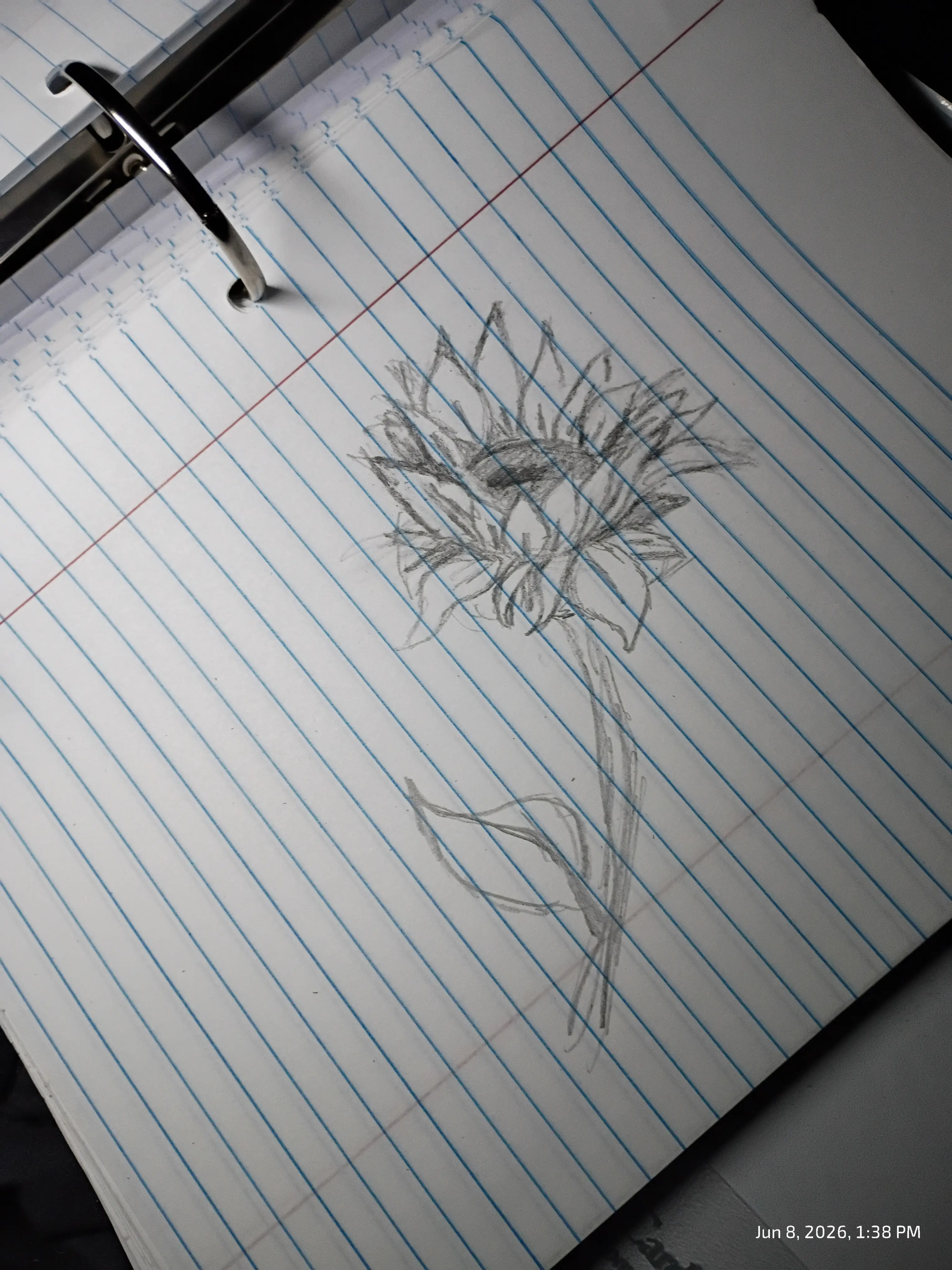 Drawing