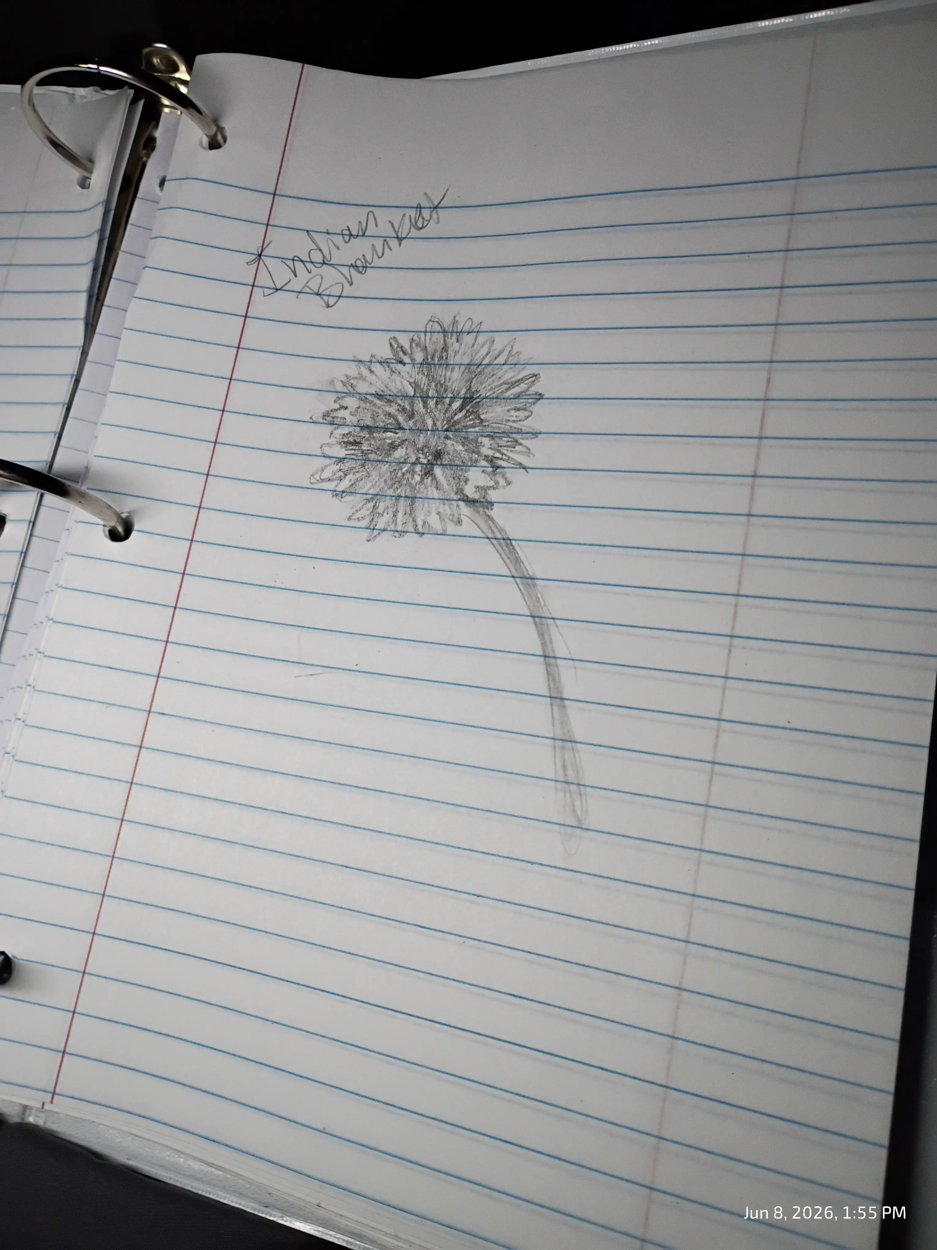 Drawing
