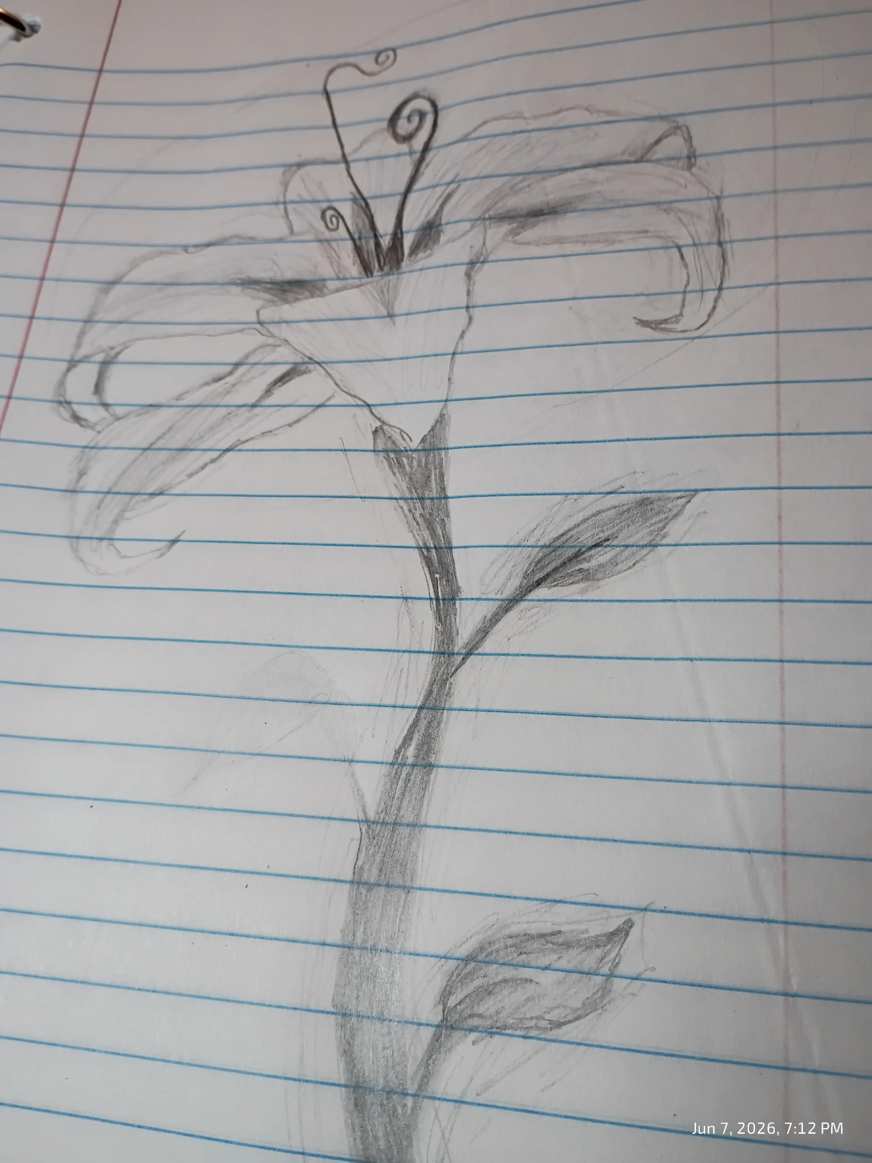 Drawing