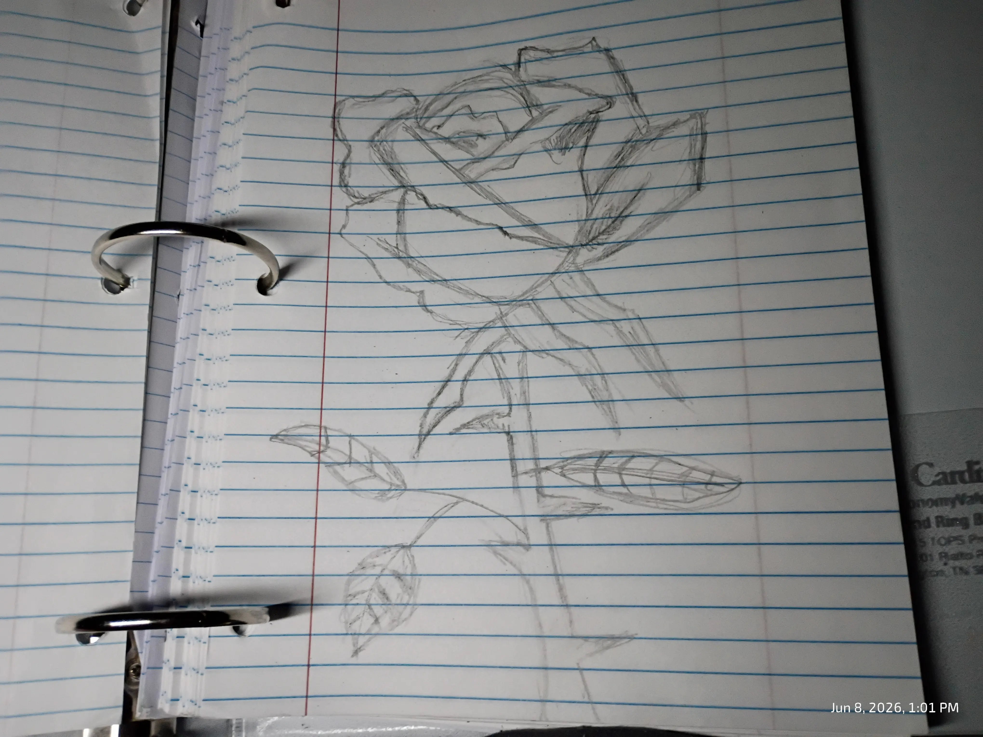 Drawing