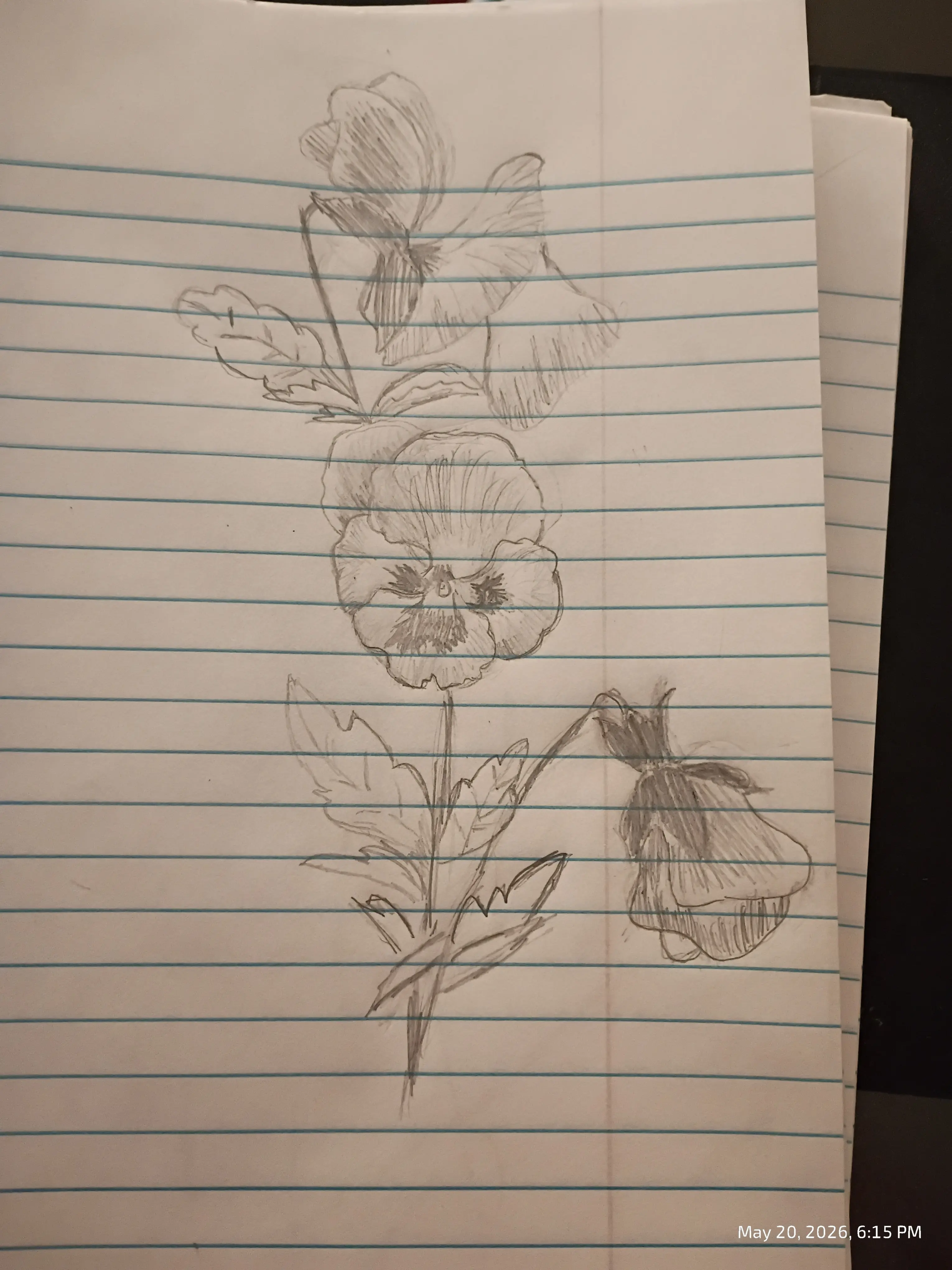 Drawing