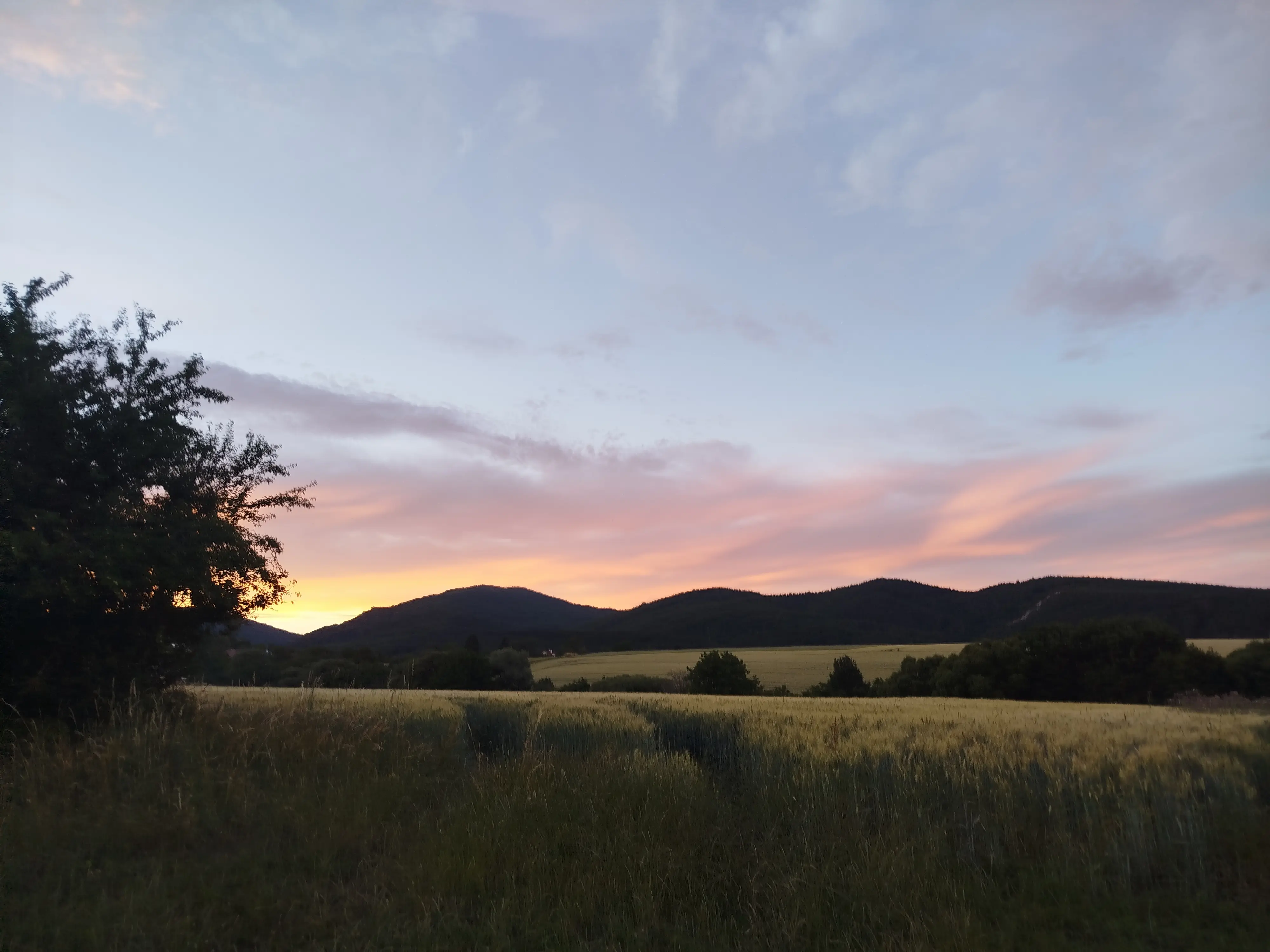 Evening walk