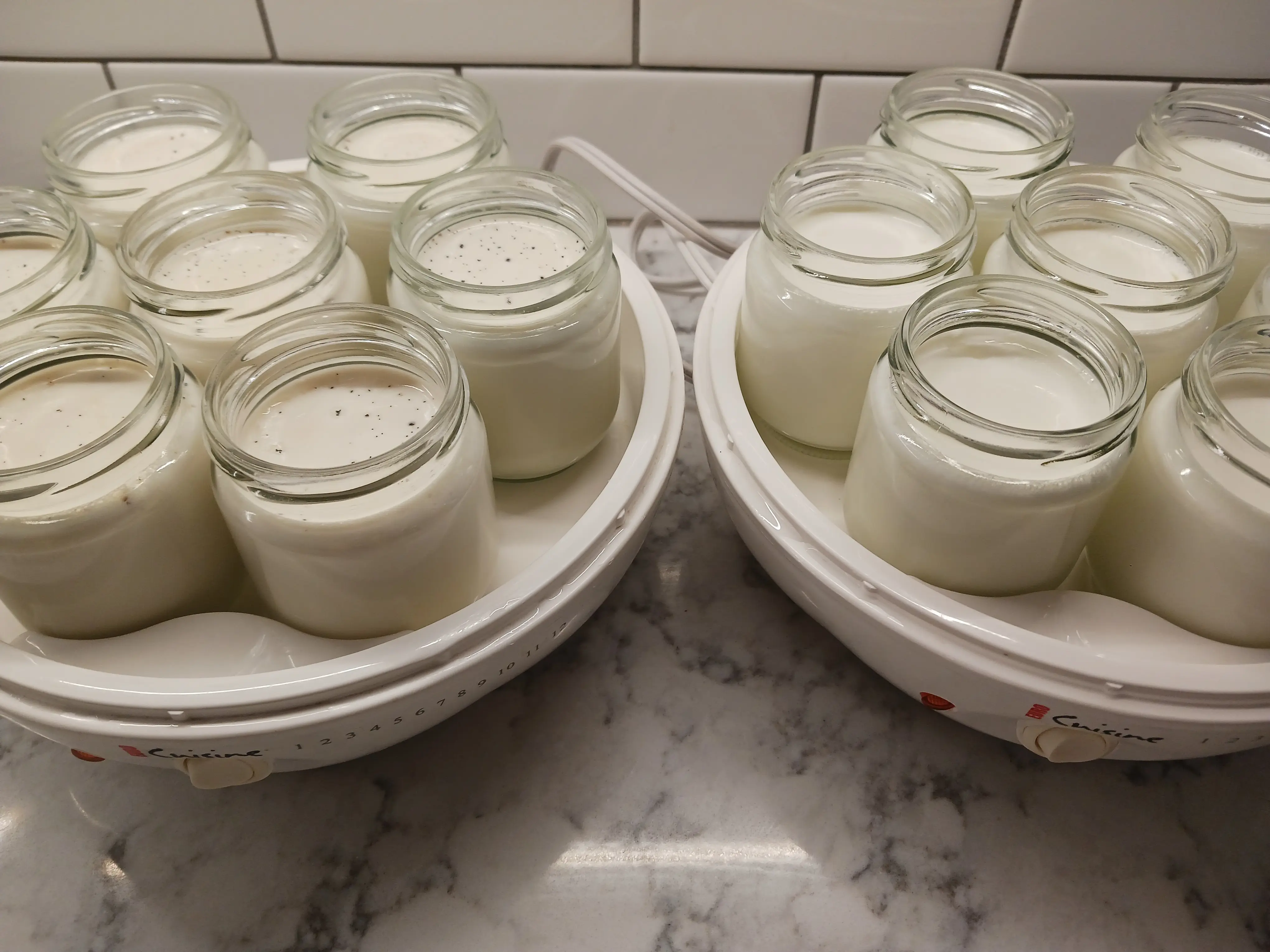Fresh batch of homemade yoghurt!