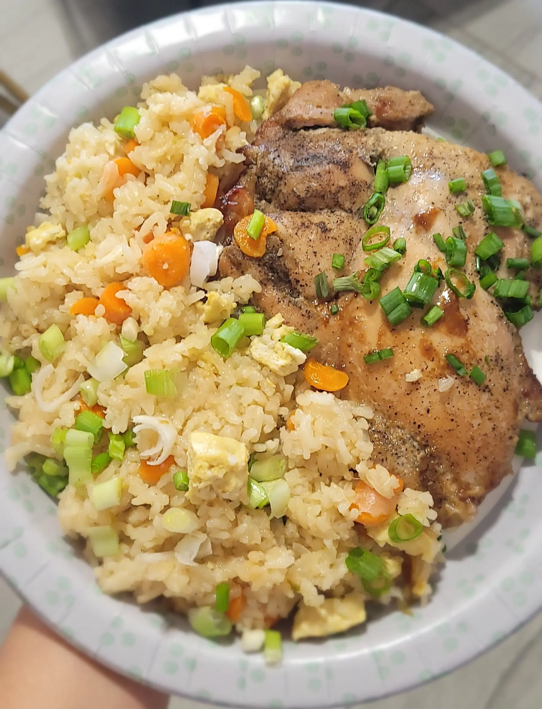 One Pot Rice Cooker Fried Rice
