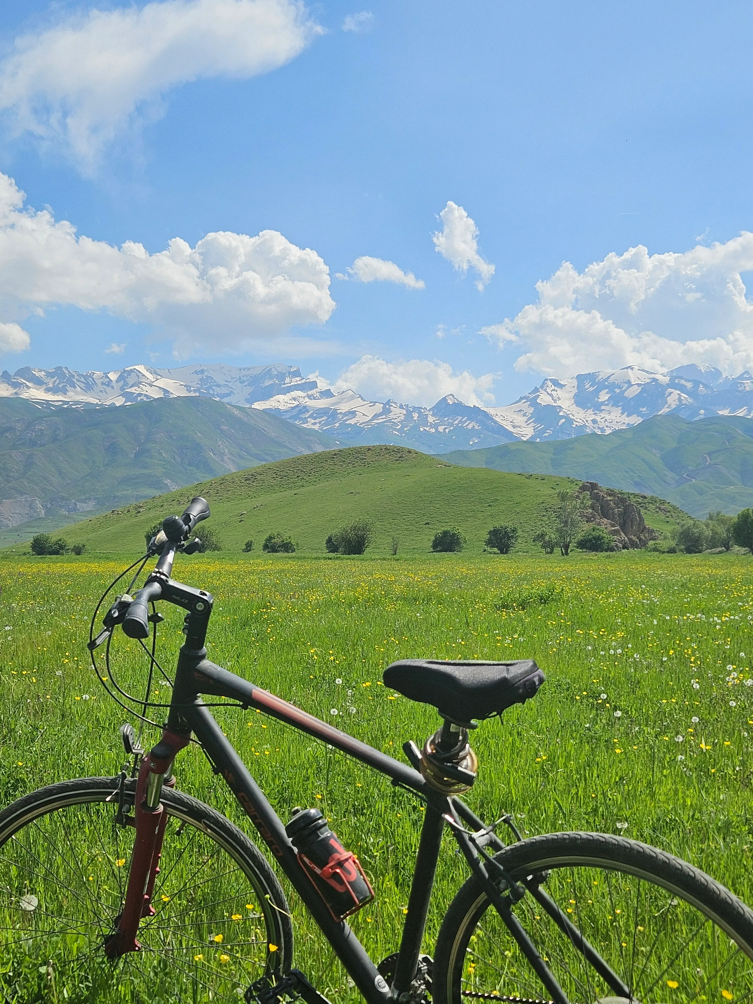The bicycle